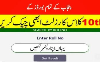 10th Class Result 2024 For All Punjab Board